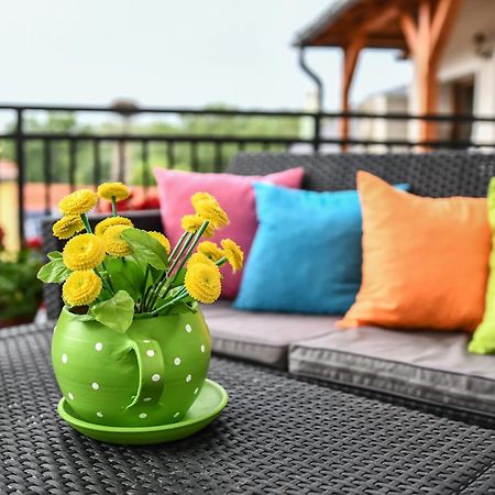 Bed and Breakfast E-Vasko Panzio Borpince Tokaj Exterior foto