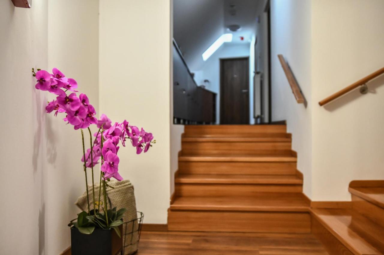Bed and Breakfast E-Vasko Panzio Borpince Tokaj Exterior foto